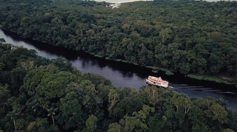 『ウイラ：湧き上がる熱帯雨林』スチール