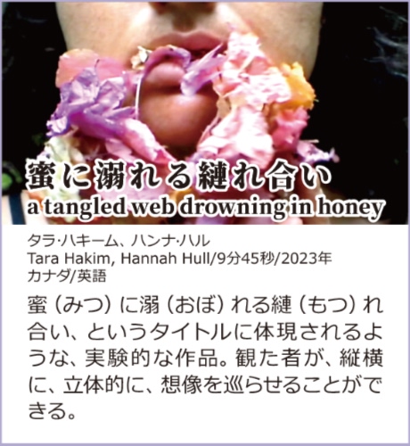 蜜に溺れる縺れ合い