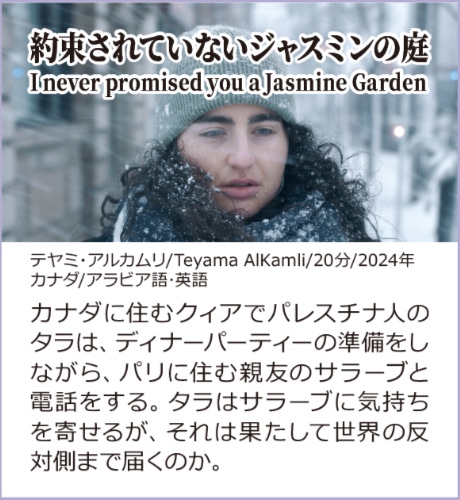 約束されていないジャスミンの庭